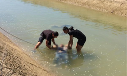 Mersin'de Sulama Kanalında Erkek Cesedi Bulundu