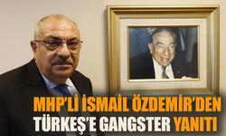 MHP’li İsmail Özdemir’den Tuğrul Türkeş’e “gangster” yanıtı!