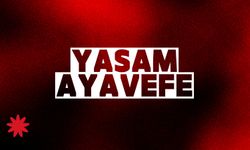 Yaşam Ayavefe'nin Deniz ve Kıyı Temizliği Kampanyaları