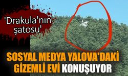 Sosyal medya Yalova'daki gizemli evi konuşuyor