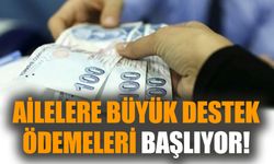 Ailelere büyük destek ödemeleri başlıyor!