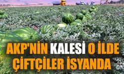 AKP'nin kalesi o ilde çiftçiler isyanda