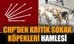 CHP'den kritik sokak köpekleri hamlesi