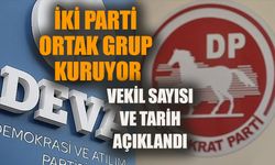 DEVA ile Demokrat Parti ortak grup kuruyor: Vekil sayısı ve tarih açıklandı