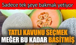 Tatlı kavunu seçmek meğer bu kadar basitmiş