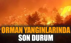 Orman yangınlarında son durum