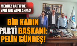 Merkez Parti'nin yeni başkanı Pelin Gündeş oldu!