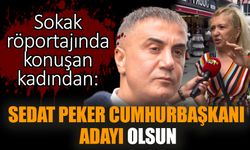 Sedat Peker Cumhurbaşkanı adayı olsun