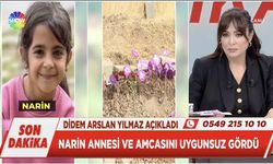 Didem Arslan Yılmaz Narin'in neden öldürüldüğünü açıkladı