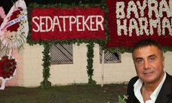 Sedat Peker’den eski MHP’li ismin oğlunun sünnetine dev çelenk