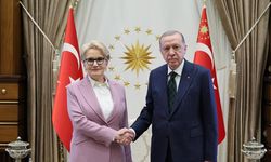 Cumhurbaşkanı Erdoğan'dan İYİ Parti eski Genel Başkanı Meral Akşener'e af!