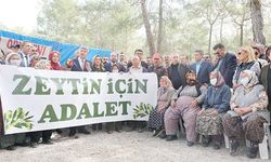 İYİ Parti'nin mücadelesi sonuç verdi: Zeytinler kazandı