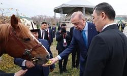 Sadır Caparov Erdoğan'a at hediye etti