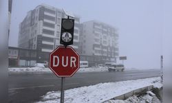 Bitlis'te Görüş Mesafesi 10 Metreye Düştü