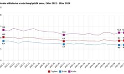 Türkiye'de İşsizlik Oranı Yüzde 8,8'e Geriledi