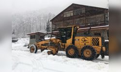 Rize ve Artvin'de Kar Yağışı Köy Yollarını Kapatıyor