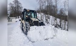 Doğu Karadeniz'de 330 Yerleşim Yeri Erişime Kapandı