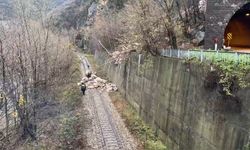 Karabük'te Heyelan Demir Yolu Ulaşımını Engelledi