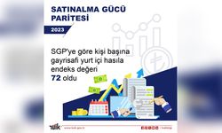 TÜİK, Kişi Başına GSYH Endeksini Açıkladı