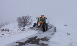 Tunceli'deki Köy Yolları Ulaşıma Kapandı