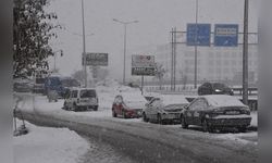 Bitlis'te Yoğun Kar Yağışı Hayatı Olumsuz Etkiledi