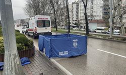 Bursa'da Trafik Kazası: Yaya Hayatını Kaybetti