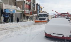 Van'da Yoğun Kar Yağışı Sonucu 420 Yol Kapandı