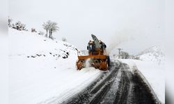 Bingöl'de Kış Koşulları Nedeniyle 191 Köy Yolu Kapandı