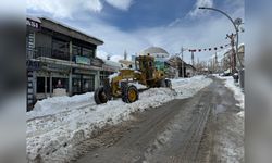 Van'da Yoğun Kar Yağışı Sonucu 163 Yerleşim Yeri Ulaşıma Kapandı