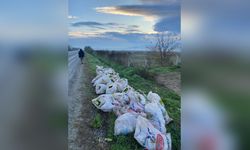 İzmir'de Marul Hırsızlığı Olayında Üç Kişi Tutuklandı