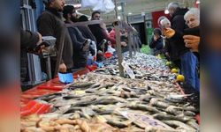 Hamsi Fiyatları Bir Haftada 50 Lira Düştü