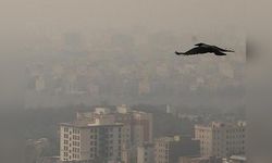 Tahran'da Hava Kirliliği Eğitimi Durdurdu