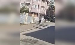 Bolu'da Çöp Atan Genç Zabıta ile Yüzleşti