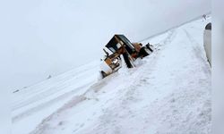 Edirne'yi Beyaza Bürüyen Kar Yağışı Etkili Oldu