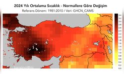 2024, Dünya'nın En Sıcak Yılı Olacak