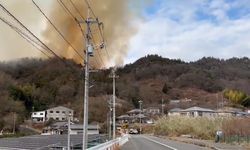 Japonya'da Orman Yangını Kontrol Altına Alınmaya Çalışılıyor