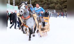 Erzurum'da Atlı Kızak Şampiyonası Coşkusu