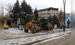 Van'da Ulaşım Sorunu: 255 Yerleşim Yeri Kapalı