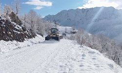 Şırnak'taki Kapanan Köy Yolları Yeniden Ulaşıma Açıldı