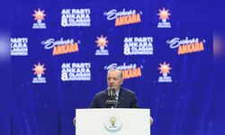 Cumhurbaşkanı Erdoğan, Yangın Sorumlularıyla İlgili Adımların Atıldığını Açıkladı