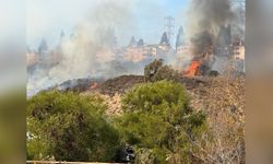 San Diego'da Yangın Riski Devam Ediyor