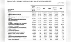 2023 Yılında Maddi Mallara Yapılan Yatırım Harcaması 4,1 Trilyon Lirayı Buldu