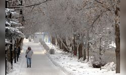 Erzurum'da Soğuk Hava Koşulları Devam Ediyor