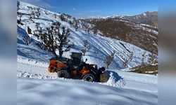 Sason'da Kar Yağışı Nedeniyle 14 Yerleşim Yeri Ulaşıma Kapandı