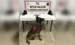 Eroinle Yakalanan Şüpheli Tutuklandı