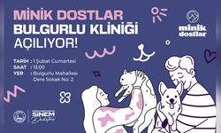 Üsküdar'da Yeni Bir Klinik Hizmete Giriyor: Minik Dostlar Bulgurlu Kliniği