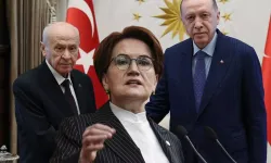 Meral Hanım Cumhurbaşkanı Yardımcısı Olmalı Mı?