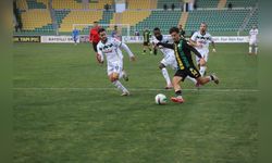 Sakaryaspor, Şanlıurfaspor'u Mağlup Etti