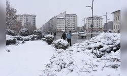 Sivas'ta Yoğun Kar Yağışı Etkili Oluyor