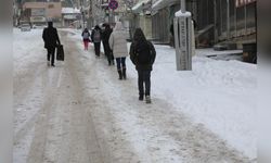 Van'da Yoğun Kar Yağışı Ulaşımı Olumsuz Etkiledi